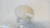 FIAT 500L (2017) TERMICO VASCHETTA ACQUA USATO Da 2018 A 2022 [[275810]]