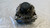 FORD FIESTA «VI» (2008) IMPIANTO ELETTRICO ALTERNATORE USATO Da 2010 A 2012 [[275938]]