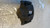 FIAT TIPO «II» SW (2016) IMPIANTO FRENANTE PINZA FRENO ANT. DX. USATO Da 2016 A 2020 [[275954]]