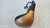 PEUGEOT 207 (2006) CRISTALLI RETROVISORE ESTERNO ANT. SX. USATO Da 2006 A 2009 [[276130]]