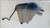 AUDI A4 «8K5» AVANT (2008) TERMICO VASCHETTA ACQUA USATO Da 2008 A 2012 [[276162]]