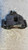 FIAT PANDA «III» (2012) IMPIANTO FRENANTE PINZA FRENO ANT. DX. USATO Da 2012 A 2020 [[276087]]