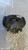 PEUGEOT 308 «I» SW (2008) IMPIANTO FRENANTE PINZA FRENO ANT. DX. USATO Da 2008 A 2011 [[276499]]