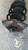 MINI MINI ONE «R50» (2001) ASSALE AMMORTIZZATORE ANT. SX. USATO Da 2001 A 2006 [[277272]]