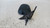 TATA PICK UP 4X2 CRISTALLI RETROVISORE ESTERNO ANT. SX. USATO [[277430]]