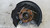 FORD MONDEO «V» SW (2014) ASSALE FUSELLO RUOTA ANT. DX. USATO Da 2014 A 2018 [[277654]]