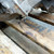 OPEL CORSA «D» (2007) CAMBIO E TRASMISSIONE CAMBIO USATO Da 2006 A 2010 [[277912]]