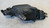PEUGEOT 206 (1999) FANALERIA PROIETTORE ANT. SX. USATO Da 2001 A 2009 [[277971]]