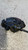 FIAT PANDA «III» (2012) IMPIANTO FRENANTE PINZA FRENO ANT. DX. USATO Da 2012 A 2020 [[278064]]