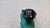 FIAT PANDA «III» (2012) CAMBIO E TRASMISSIONE COMANDO CAMBIO USATO Da 2012 A 2020 [[278069]]