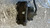 OPEL ASTRA «H» SW (2005) IMPIANTO FRENANTE PINZA FRENO ANT. SX. USATO Da 2004 A 2010 [[278486]]