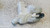 CITROEN C3 PICASSO (2009) CRISTALLI VASCHETTA TERGICRISTALLI USATO Da 2009 A 2012 [[278619]]