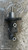 ALFA ROMEO GIULIETTA (2013) IMPIANTO FRENANTE POMPA FRENO ANT. USATO Da 2015 A 2016 [[278775]]