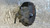 OPEL ASTRA «H» SW (2005) IMPIANTO FRENANTE PINZA FRENO ANT. DX. USATO Da 2004 A 2010 [[278487]]