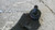 FORD S-MAX «I» (2006) ASSALE BRACCIO OSCILLANTE ANT. SX. USATO Da 2006 A 2010 [[278881]]