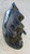 FORD S-MAX «I» (2006) FANALERIA PROIETTORE ANT. DX. USATO Da 2006 A 2010 [[278982]]