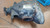 BMW SERIE 3 «F31» TOURING (2012) CAMBIO E TRASMISSIONE DIFFERENZIALE (REVISIONATO) POST. USATO Da 2012 in poi [[278990]]