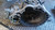 FIAT SEDICI (2006) CAMBIO E TRASMISSIONE CAMBIO USATO Da 2005 A 2009 [[279006]]