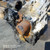 VOLKSWAGEN GOLF «VI» (2009) CAMBIO E TRASMISSIONE CAMBIO USATO Da 2008 A 2012 [[279187]]