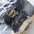 NISSAN NAVARA (2005) MOTORE MONOBLOCCO USATO Da 2005 A 2010 [[279265]]
