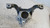 MERCEDES CLASSE B «W247» (2019) MOTORE SUPPORTO GOMMA MOTORE DX. USATO Da 2018 in poi [[279288]]