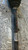 FIAT SEDICI (2006) CAMBIO E TRASMISSIONE SEMIASSE POST. SX. USATO Da 2005 A 2009 [[279321]]