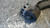 FIAT CROMA «II» (2007) ASSALE BRACCIO OSCILLANTE ANT. DX. USATO Da 2007 A 2011 [[279341]]