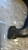 NISSAN CABSTAR «F24M» (2006) ASSALE BRACCIO OSCILLANTE INF. ANT. DX. USATO Da 2006 A 2013 [[276943]]