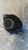 FIAT CROMA «II» (2007) IMPIANTO ELETTRICO ALTERNATORE (REVISIONATO) USATO Da 2007 A 2011 [[279510]]