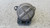 FORD GALAXY «III» (2006) MOTORE SUPPORTO GOMMA MOTORE DX. USATO Da 2006 A 2010 [[279547]]