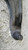 FORD MONDEO «V» SW (2014) ASSALE BRACCIO OSCILLANTE ANT. DX. USATO Da 2014 A 2018 [[277652]]