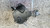AUDI A4 «8ED» AVANT (2005) MOTORE POMPA A VUOTO USATO Da 2004 A 2008 [[277318]]