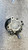 AUDI A4 «8ED» AVANT (2005) STERZO POMPA SERVOSTERZO USATO Da 2004 A 2008 [[277326]]