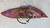 MAZDA 2 «II» (2008) FANALERIA FANALE POST. DX. USATO Da 2007 A 2010 [[279629]]