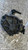 VOLVO C30 (2007) MOTORE POMPA A VUOTO USATO Da 2006 A 2009 [[279869]]