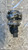 VOLVO C30 (2007) SCARICO E INIEZIONE VALVOLA EGR USATO Da 2006 A 2009 [[279874]]