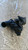 VOLVO C30 (2007) SCARICO E INIEZIONE CORPO FARFALLATO USATO Da 2006 A 2009 [[279875]]