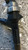 OPEL ASTRA «H» (2005) SCARICO E INIEZIONE INIETTORE USATO Da 2007 A 2009 [[279967]]