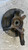 FIAT SEDICI (2006) ASSALE FUSELLO RUOTA ANT. DX. USATO Da 2005 A 2009 [[280015]]