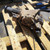FIAT SEDICI (2006) CAMBIO E TRASMISSIONE DIFFERENZIALE ANT. USATO Da 2009 A 2014 [[280216]]