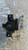SUZUKI IGNIS «III» (2016) MOTORE SUPPORTO GOMMA MOTORE DX. USATO Da 2016 A 2020 [[280173]]