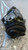 SUZUKI IGNIS «III» (2016) TERMICO COMPRESSORE A/C USATO Da 2016 A 2020 [[280182]]
