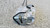 FIAT SEDICI (2006) LAMIERATI ESTERNI SERRATURA PORTA POST. SX. USATO Da 2009 A 2014 [[280418]]