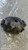 AUDI A4 «8K5» AVANT (2008) IMPIANTO FRENANTE PINZA FRENO ANT. SX. USATO Da 2008 A 2012 [[280517]]
