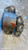 FIAT PUNTO EVO (2010) MOTORE SUPPORTO GOMMA MOTORE DX. USATO Da 2009 A 2011 [[280587]]