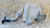 FIAT PUNTO EVO (2010) CRISTALLI VASCHETTA TERGICRISTALLI USATO Da 2009 A 2011 [[280589]]