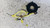 SUZUKI WAGON R «I» (1998) SICUREZZA CONTATTO AIRBAG GUIDATORE USATO [[280669]]