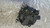 FORD FIESTA «VI» (2012) IMPIANTO ELETTRICO ALTERNATORE (REVISIONATO) USATO Da 2012 A 2017 [[281071]]