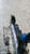 VOLKSWAGEN PASSAT CC (2008) LAMIERATI ESTERNI SERRATURA PORTA ANT. DX. USATO Da 2008 A 2010 [[281431]]