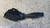 FORD FIESTA «VI» (2008) STERZO DEVIOGUIDA LUCI SX. USATO Da 2010 A 2012 [[281508]]